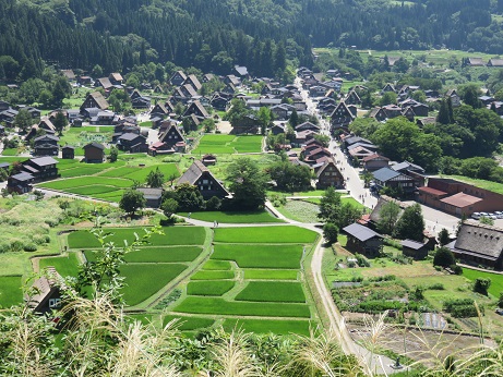 2015夏010