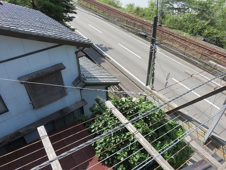 吊り橋07