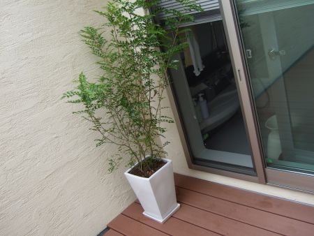 ウッドデッキにも中くらいの観葉植物を Simple Asian Modern K S House