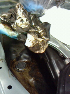 2015020309200000.jpg