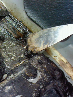 2015013110450000.jpg