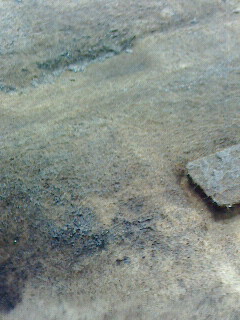2015013109570002.jpg
