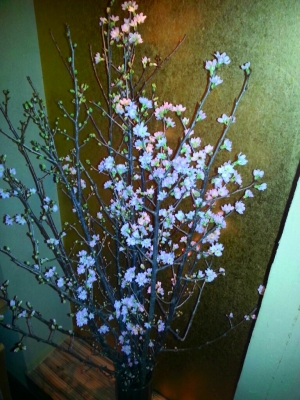 hiki