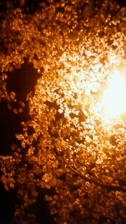 200905032154000.jpg