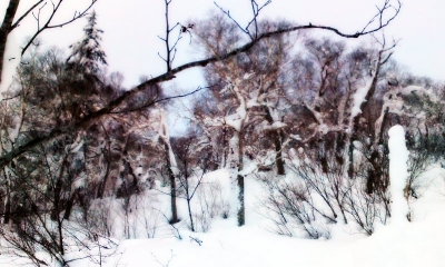 札幌国際