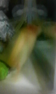 200808161500000.jpg