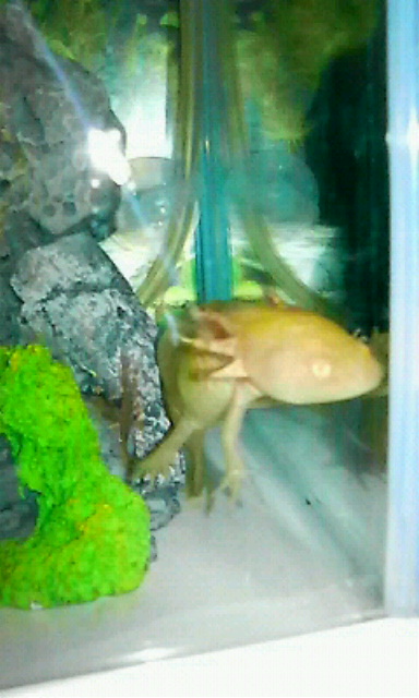 200808161505000.jpg