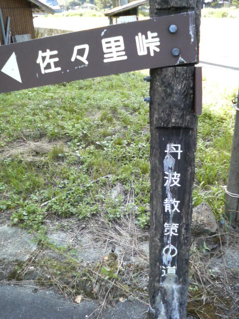 200808181456000.jpg