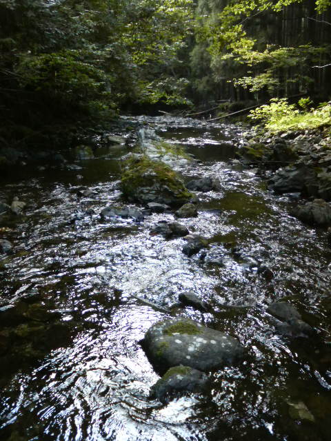 200808181630000.jpg
