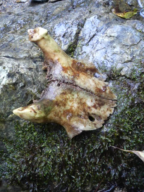 200808181634000.jpg