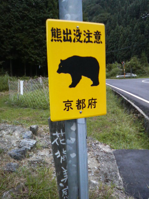 200808181732000.jpg