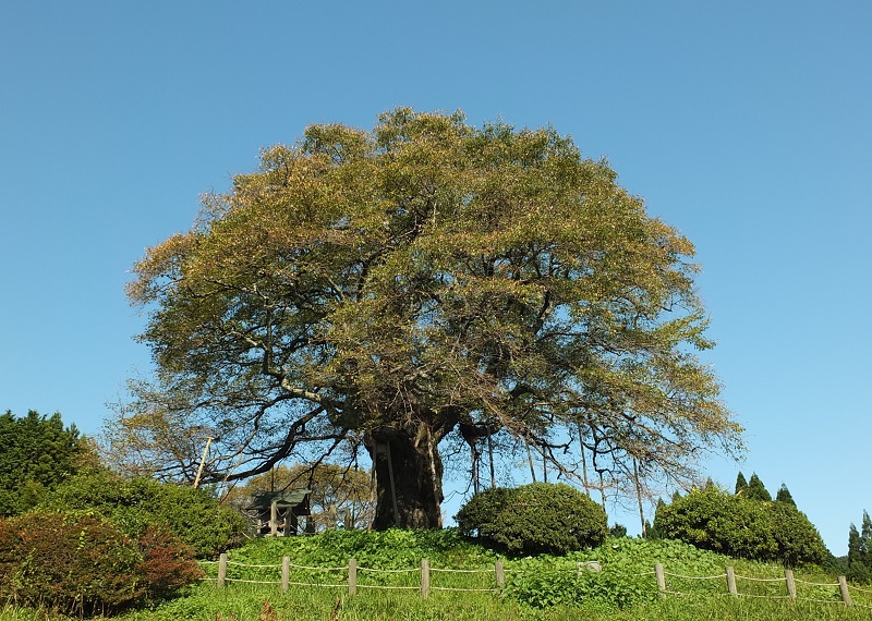 DSCF2223.JPG
