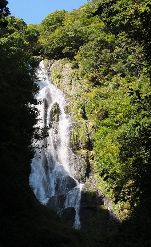 DSCF2365.JPG