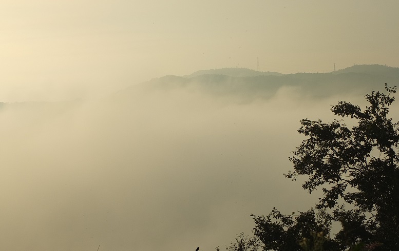DSCF2170.JPG