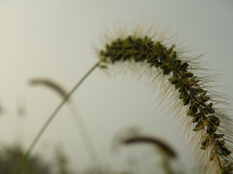 DSCF2179.JPG