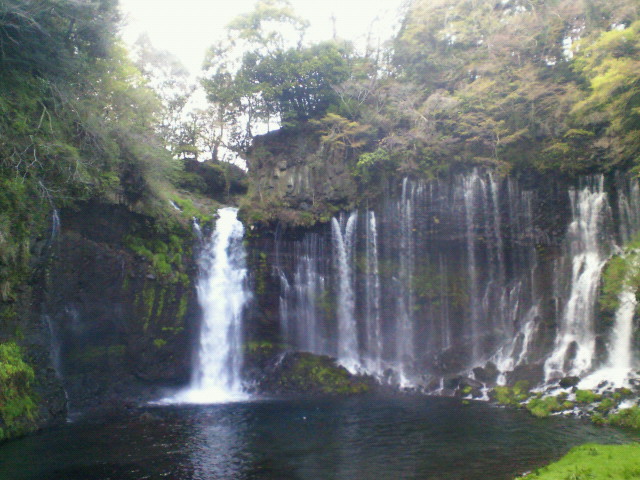 201004101739000.jpg