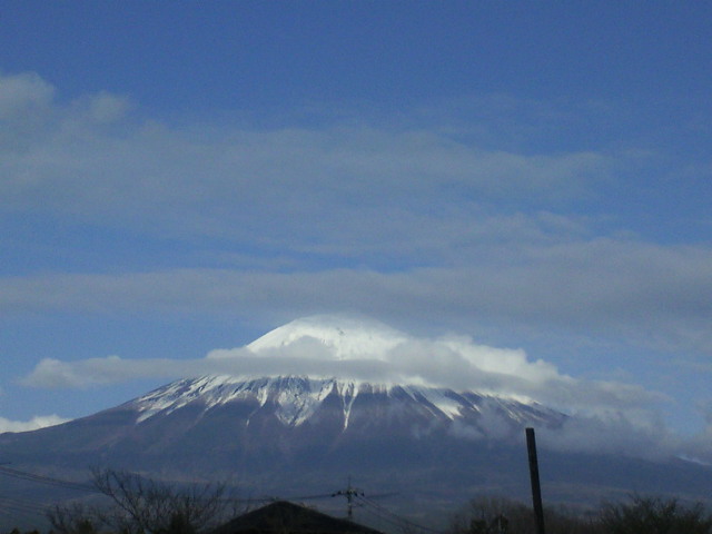 201004101602001.jpg