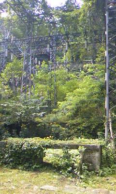 100814_0931~01.jpg