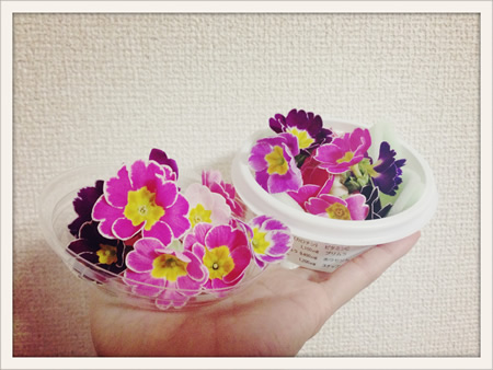 写真 2014-02-04 20 46 26.jpg