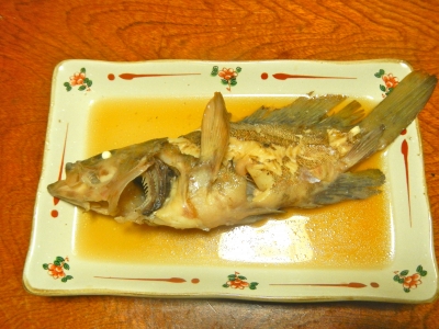 DSCN0810.JPG