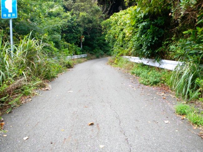 DSCN1153.JPG