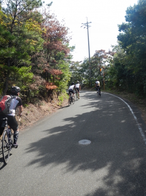 DSCN1565.JPG