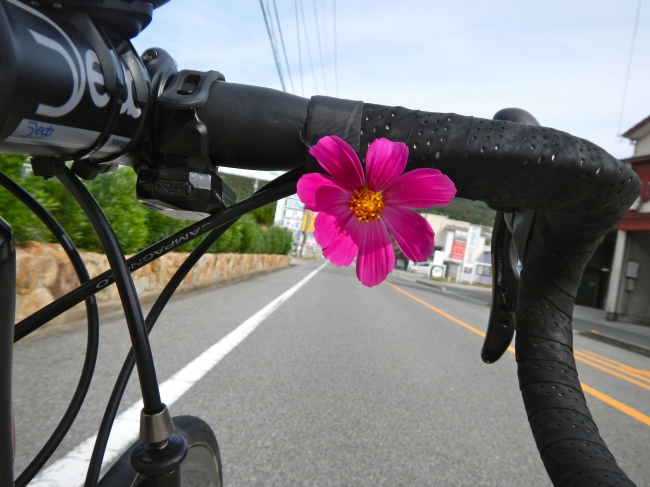 DSCN1635.JPG