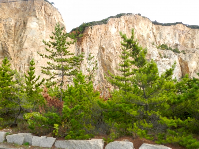 DSCN1639.JPG