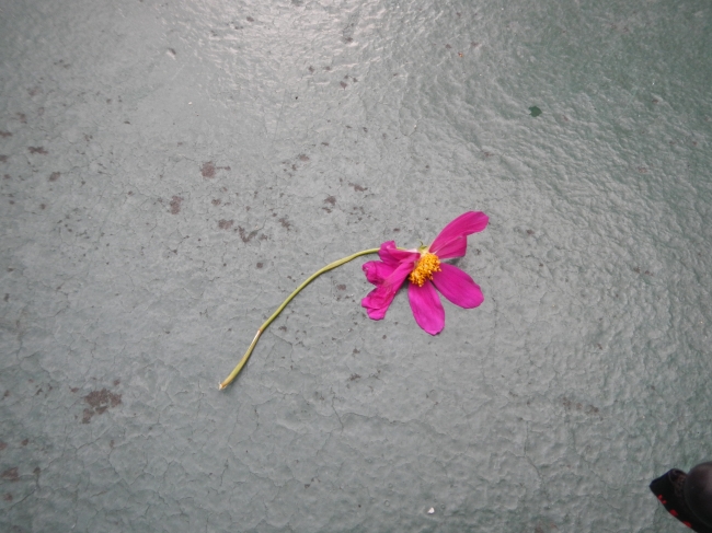 DSCN1663.JPG