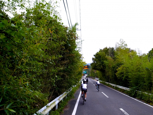 R0016844.JPG