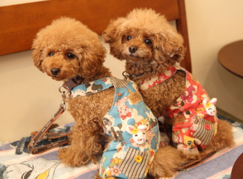 20131214O010.JPG
