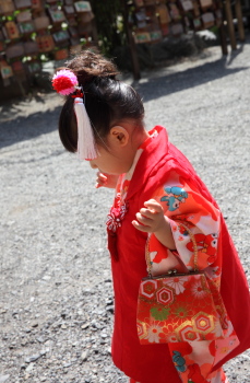 七五三_201409_2376.JPG