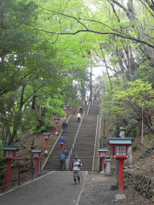 2014高尾山.JPG