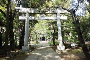 2014神社.JPG