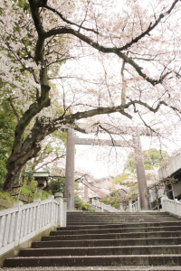 伊勢山皇大神宮02.JPG