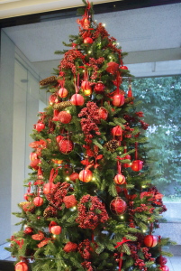 141220_004xmas tree.JPG