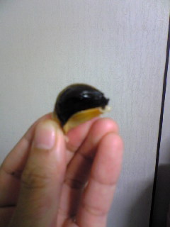 黒にんにくむいてみた