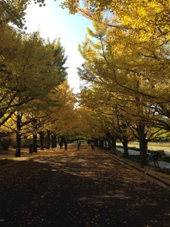 iPhoneImage.png