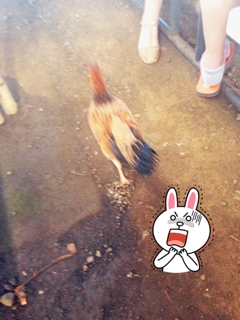 iPhoneImage.png