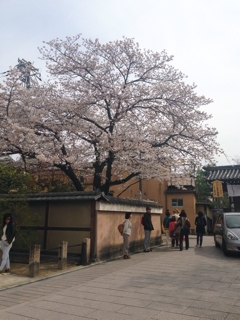 iPhoneImage.png