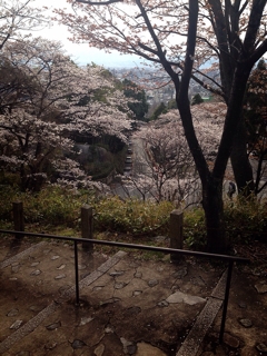 iPhoneImage.png