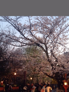 iPhoneImage.png