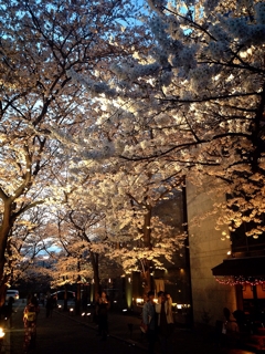 iPhoneImage.png