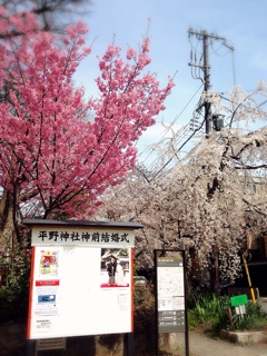 iPhoneImage.png