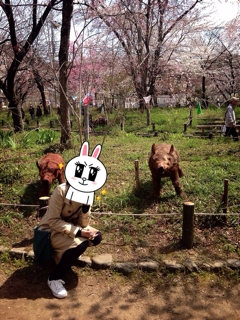 iPhoneImage.png