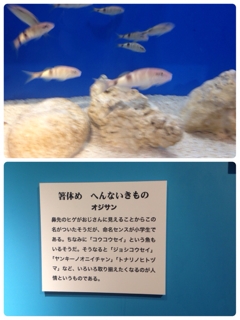 iPhoneImage.png
