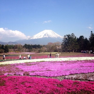 iPhoneImage.png