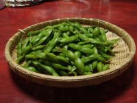 肴豆