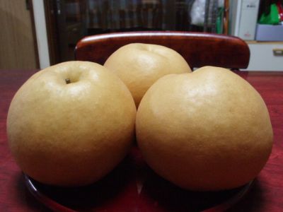 白根産新高なし