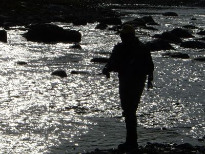 河畔にたたずむ影